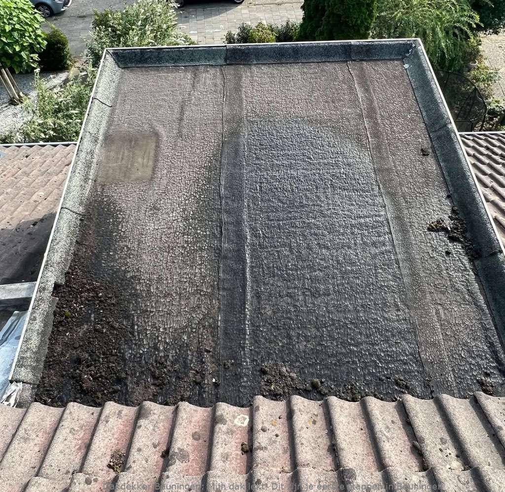 Dak Lekt Beuningen