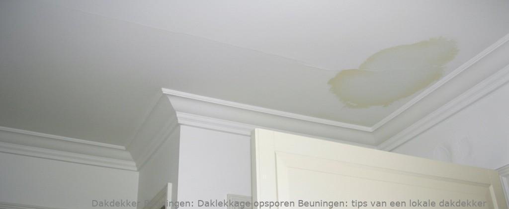 Daklekkage Opsporen Beuningen 1