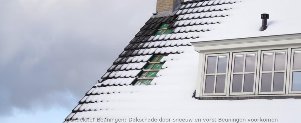 Schade Door Sneeuw En Vorst Beuningen