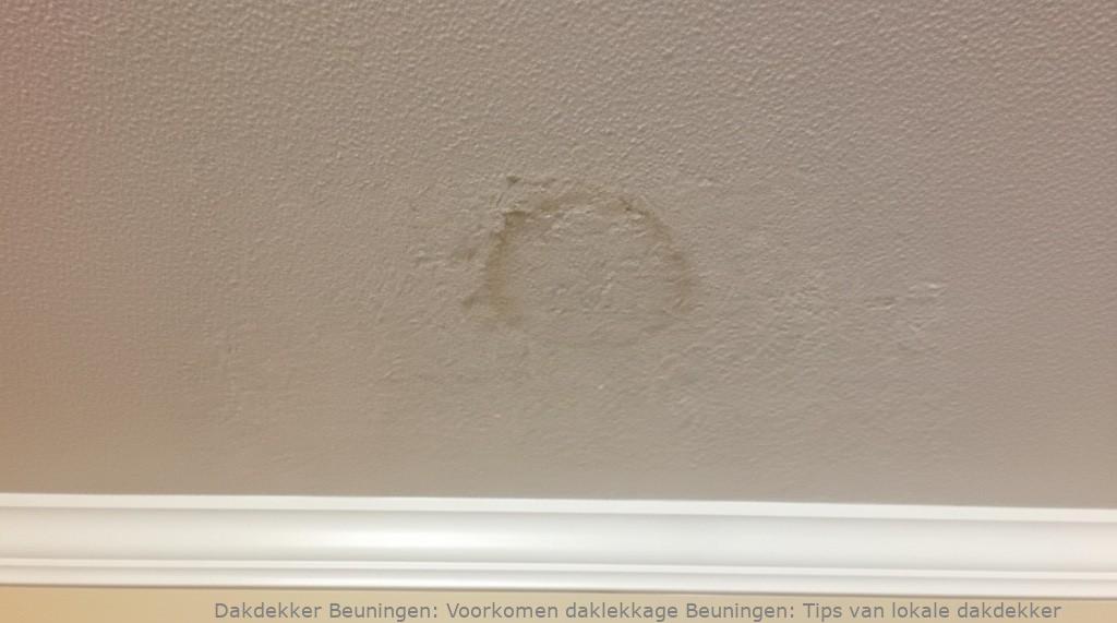 Voorkomen Daklekkage Beuningen