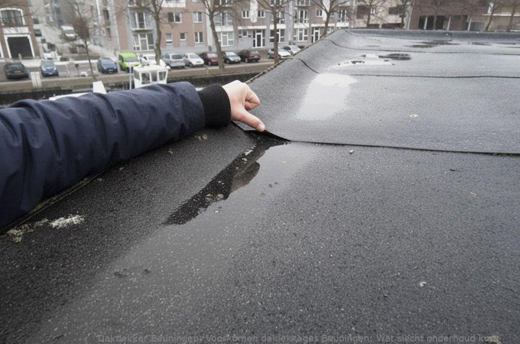 Voorkomen Daklekkages Beuningen